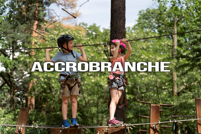 Accrobranche + Titre